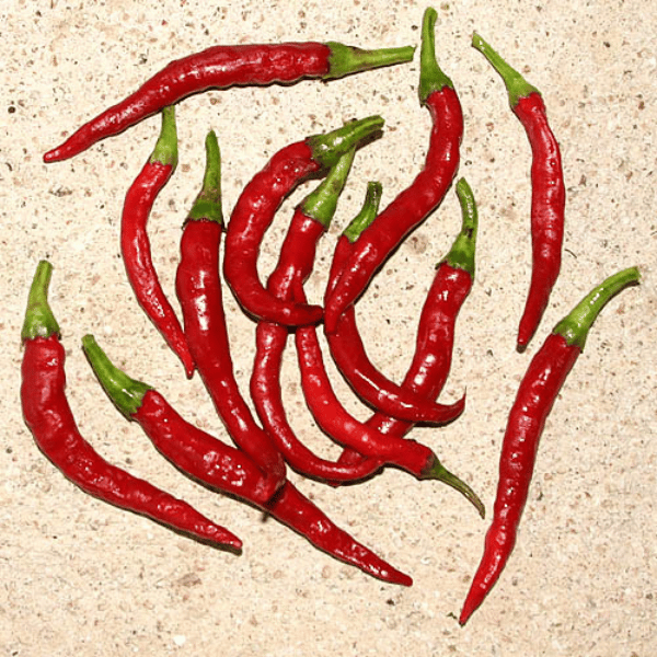 Cayenne Chili Samen