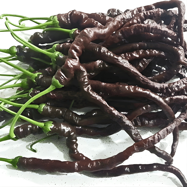 Thunder Cacho Brown Chili Samen