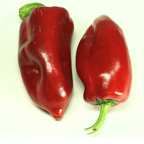 Tolli’s Sweet Paprika Samen