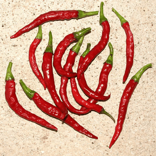 Cayenne Chili Samen