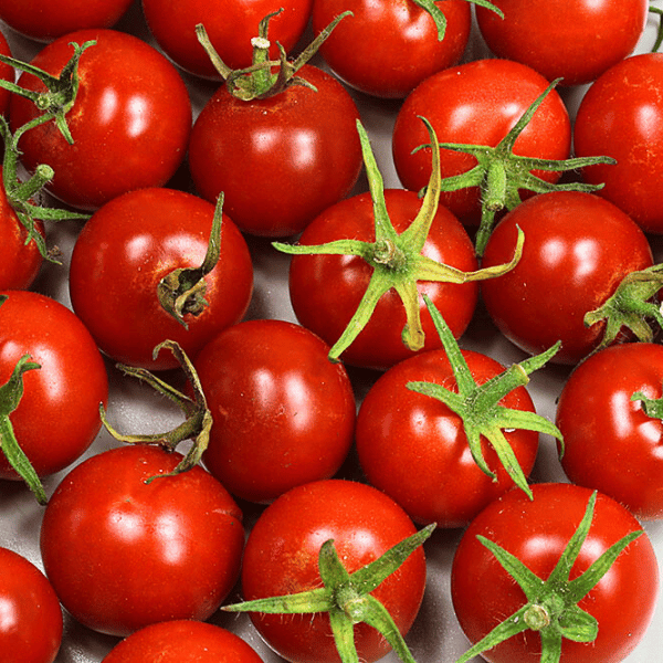 Mexikanische Honigtomate Tomatensamen