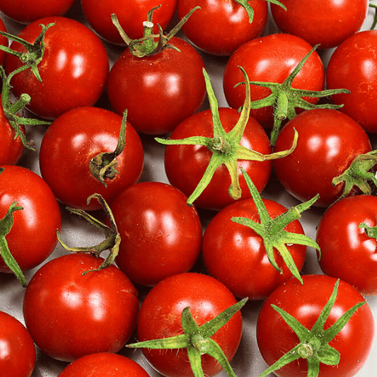 Mexikanische Honigtomate Tomatensamen