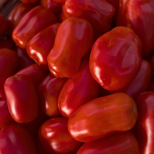 San Marzano Tomatensamen
