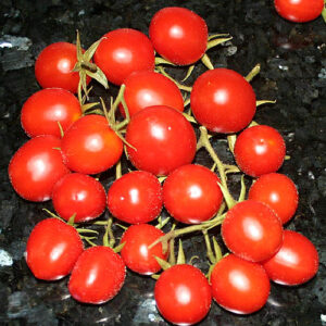 A Grappoli Corbarino ist eine große italienische Traubentomate mit sehr gutem Aroma. Sie liefert einen hohen Ertrag an Tomaten mit ausgezeichnetem Aroma.