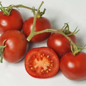 1950 Entwickelte alte deutsche Tomate. Große Pflanzen produzieren sehr aromatische, süße und zudem platzfeste Früchte mittlerer Größe. Salat, Rot, Fleischtomate, Stabtomate