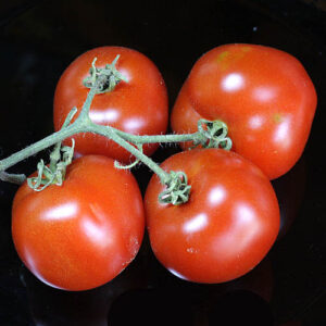 Ertragreiche Tomate mit kräftig dunkelroten Früchten und ausgezeichnetem Aroma. Salat, Snack, Rot, Stabtomate