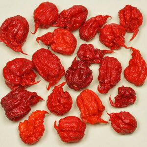 Carolina Reaper ist vermutlich der zweitschärfste Chili der Welt. +Bis 2023 war sie Guiness Weltrekordhalter und mit über 1.500.000 SCU die schärfste Chili der Welt. Heat Challenge, Rot