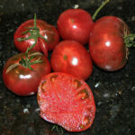 Tomate mit ausgezeichnetem Aroma. Ihre Früchte werden gerne in Scheiben geschnitten auf Brot oder auf dem Burger serviert. Snack, Salat, Salsa, Burger, Rot