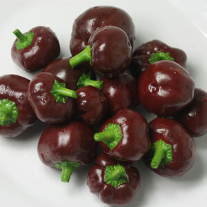 Chocolate Cherry braune Kirschpaprika Capsicum annuum mit geringer Schärfe