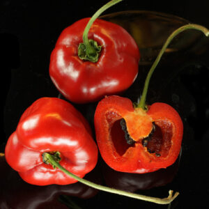 Giant Rocoto gigantischer roter mittelscharfer Chili Capsicum pubescens mit dickem Fruchtfleisch gut geeignet zum Füllen