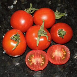 Glacier mittelgroße Tomate mit toller Süße und hervorragendem Aroma