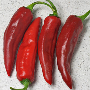 Guajillo in der mexikanischen Kühe sehr beliebte dunkelrote Capsicum annuum