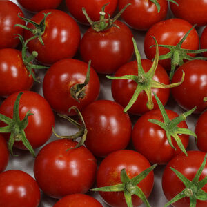 Mexikanische Honigtomate sehr beliebte honigsüße Cherrytomate mit mexikanischen Wurzeln auch Miel du Mexique genannt