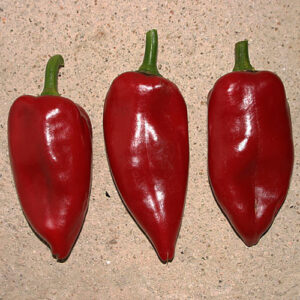 Pimiento Piquillo