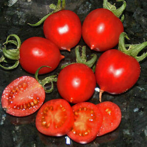 Principe Borghese auch Piennolo traditionsreiche Tomate aus Italien