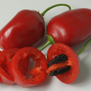 Rocoto Costa Rican Red scharfe rote Capsicum pubescens aus Costa Rica