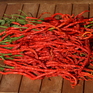 Thunder Mountain Longhorn leicht bis mittelscharfe Capsicum annuum aus der Provinz