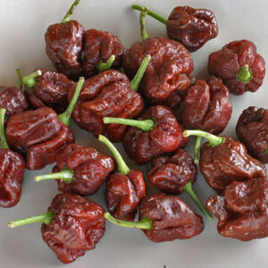 Trinidad Scorpion Moruga Chocolate