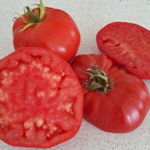 von Karim Yusupov aus Usbekistan selektionierte riesige Fleischtomate mit würzig süßem Tomatenaroma