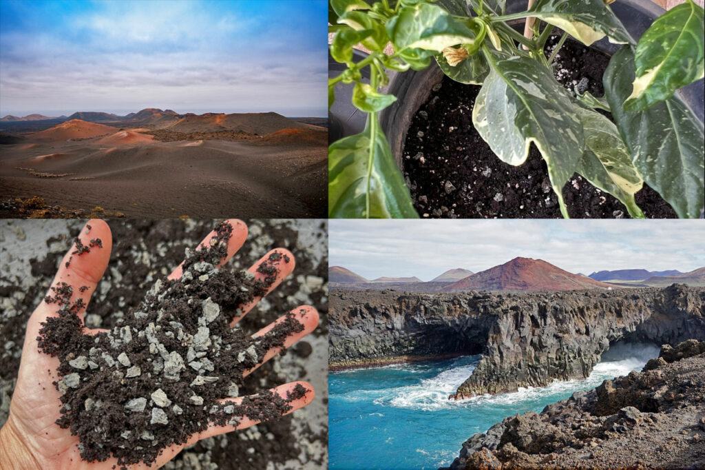 Semillas.de Produktion auf Lanzarote