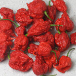 Zing superscharfe Capsicum chinense ähnliche Form aber höhere Erträge als Carolina Reaper